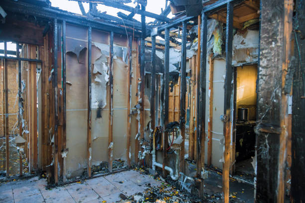 Professional Smoke Damage Removal technician working in Baltic, CT